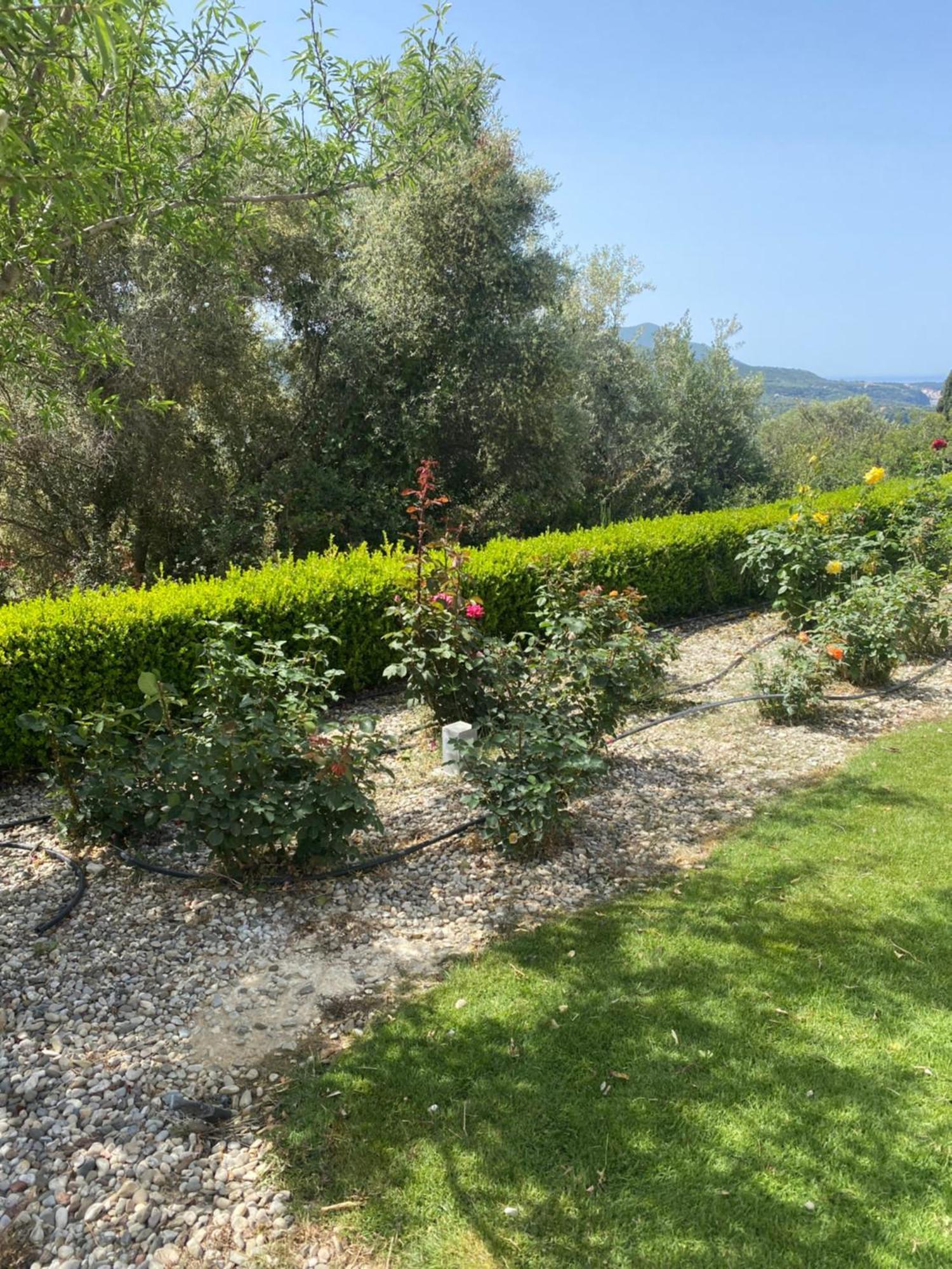 Golf View Apartment Pila